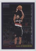 Damon Stoudamire