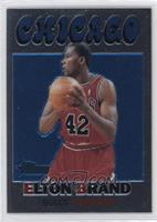 Elton Brand #/272