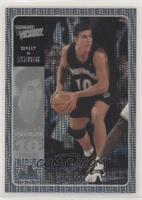 Wally Szczerbiak #/100