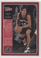 Wally Szczerbiak #/350