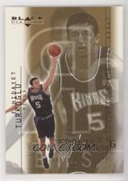 Rookie Gems - Hidayet Turkoglu #/250