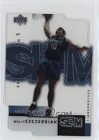 Wally Szczerbiak #/500