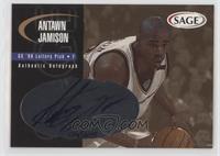 Antawn Jamison #/245