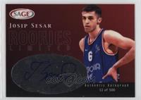 Josip Sesar #/500