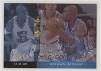 Antawn Jamison #/300