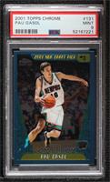 Pau Gasol [PSA 9 MINT]