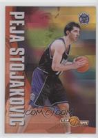 Peja Stojakovic