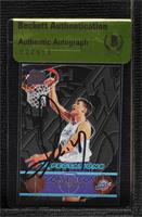 Andrei Kirilenko [BAS Beckett Auth Sticker]