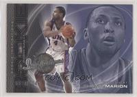 Alton Ford, Shawn Marion #/2,249