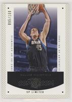 Raef LaFrentz #/100