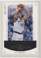 Wally Szczerbiak #/100