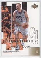 Zydrunas Ilgauskas #/125