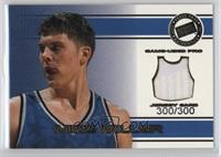 Mike Miller #/300