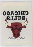 Chicago Bulls Team