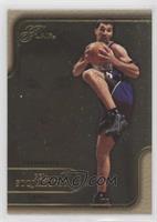 Peja Stojakovic #/100