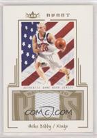 Mike Bibby [EX to NM] #/75