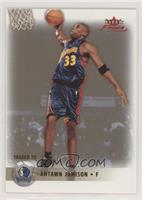 Antawn Jamison #/50