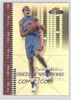 Darko Milicic #/500