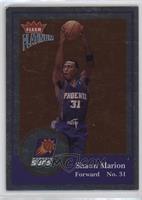 Shawn Marion [EX to NM] #/100