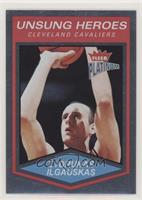 Zydrunas Ilgauskas #/100