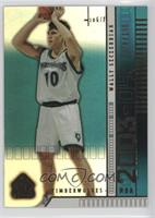 Wally Szczerbiak #/100