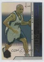 Mike Bibby #/100