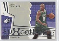 Spxcellence - Antoine Walker #/3,999