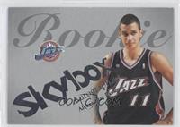 Aleksandar Pavlovic #/150