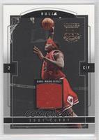 Eddy Curry #/50