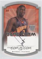 Mickael Pietrus #/290