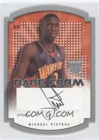 Mickael Pietrus #/290