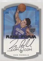 Zaza Pachulia #/50