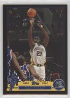 Ron Artest #/500