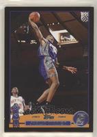 Shawn Marion [EX to NM] #/500