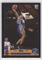 Shawn Marion #/500