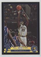 Ron Artest #/500