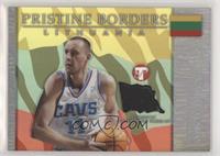 Zydrunas Ilgauskas #/25