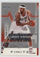 Prominent Powers - Rasheed Wallace #/500