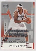 Prominent Powers - Rasheed Wallace #/500