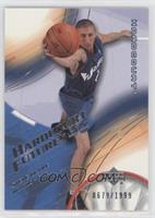 Hardcourt Futures - Steve Blake #/1,999