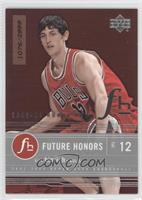 Future Honors - Kirk Hinrich #/2,999