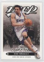 Hedo Turkoglu