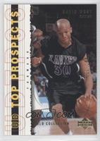 David West #/100