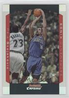 Peja Stojakovic #/300