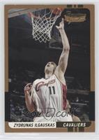 Zydrunas Ilgauskas #/50