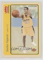 Sasha Vujacic #/75