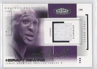 Lamar Odom #/104