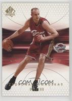 Zydrunas Ilgauskas #/100