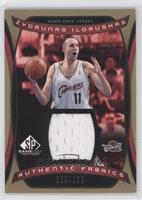 Zydrunas Ilgauskas #/100