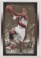 Damon Stoudamire #/100